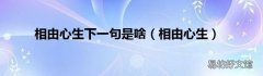 相由心生 相由心生下一句是啥