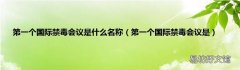 第一个国际禁毒会议是 第一个国际禁毒会议是什么名称