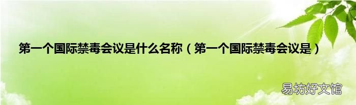 第一个国际禁毒会议是 第一个国际禁毒会议是什么名称
