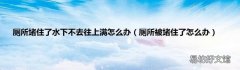 厕所被堵住了怎么办 厕所堵住了水下不去往上满怎么办