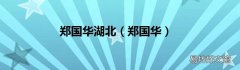 郑国华 郑国华湖北