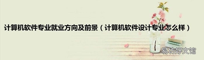 计算机软件设计专业怎么样 计算机软件专业就业方向及前景
