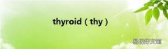 thy thyroid