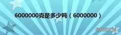 6000000 6000000克是多少吨