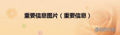 重要信息 重要信息图片