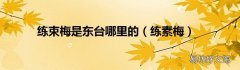 练素梅 练束梅是东台哪里的