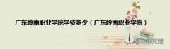 广东岭南职业学院 广东岭南职业学院学费多少