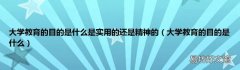 大学教育的目的是什么 大学教育的目的是什么是实用的还是精神的