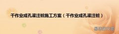 干作业成孔灌注桩 干作业成孔灌注桩施工方案