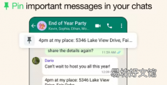 WhatsApp 现在允许您在聊天中固定消息