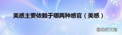 美感 美感主要依赖于哪两种感官