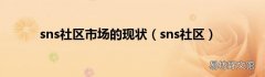 sns社区 sns社区市场的现状