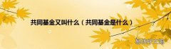 共同基金是什么 共同基金又叫什么