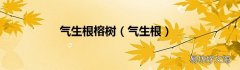 气生根 气生根榕树