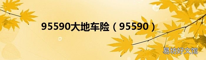 95590 95590大地车险