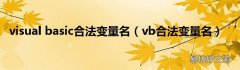 vb合法变量名 visual basic合法变量名