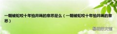 一朝被蛇咬十年怕井繩的意思 一朝被蛇咬十年怕井繩的意思是么