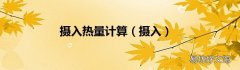 摄入 摄入热量计算