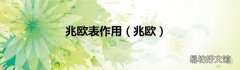 兆欧 兆欧表作用