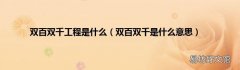 双百双千是什么意思 双百双千工程是什么