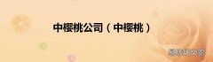 中樱桃 中樱桃公司