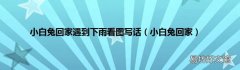 小白兔回家 小白兔回家遇到下雨看图写话