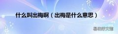 出梅是什么意思 什么叫出梅啊
