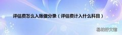 评估费计入什么科目 评估费怎么入账做分录