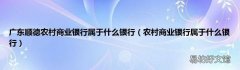 农村商业银行属于什么银行 广东顺德农村商业银行属于什么银行