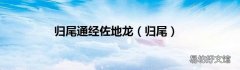 归尾 归尾通经佐地龙
