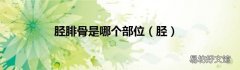 胫 胫腓骨是哪个部位