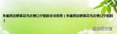 朱雀桥边野草花乌衣巷口夕阳斜 朱雀桥边野草花乌衣巷口夕阳斜全诗意思