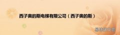 西子奥的斯 西子奥的斯电梯有限公司