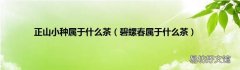 碧螺春屬于什么茶 正山小種屬于什么茶