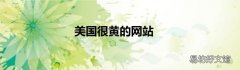 美國很黃的網站