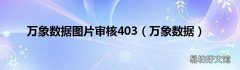 萬象數據 萬象數據圖片審核403