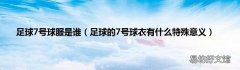 足球的7號球衣有什么特殊意義 足球7號球服是誰
