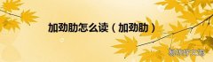 加劲肋 加劲肋怎么读