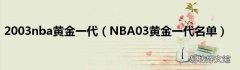 NBA03黃金一代名單 2003nba黃金一代