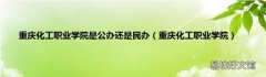 重慶化工職業學院 重慶化工職業學院是公辦還是民辦