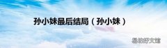 孫小妹 孫小妹最后結局
