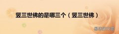 竖三世佛 竖三世佛的是哪三个