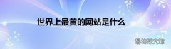 世界上最黄的网站是什么