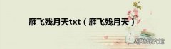 雁飞残月天 雁飞残月天txt