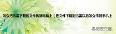 把文件下载到迅雷以后怎么传到手机上 怎么把迅雷下载的文件传到电脑上