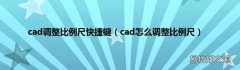 cad怎么调整比例尺 cad调整比例尺快捷键