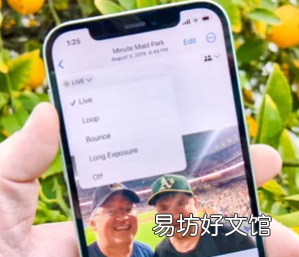 谷歌传输工具将允许iPhone用户将Live Photos迁移到安卓