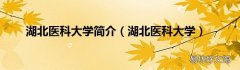 湖北医科大学 湖北医科大学简介