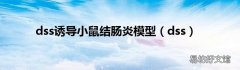 dss dss诱导小鼠结肠炎模型