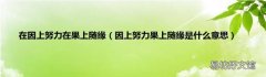 因上努力果上随缘是什么意思 在因上努力在果上随缘